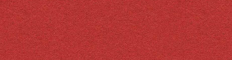 Linoleum Rot Linoleum Rot